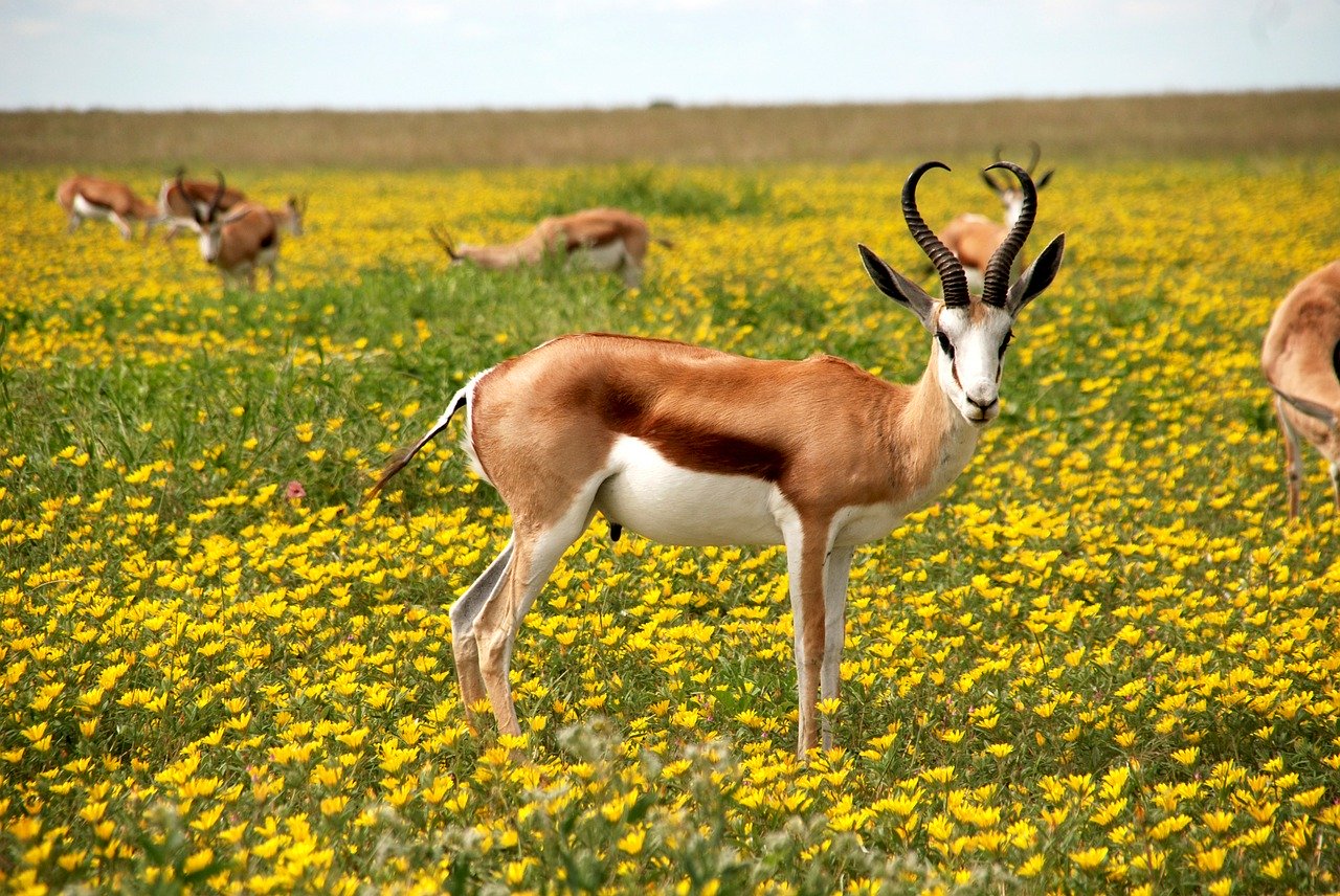 Namibia
